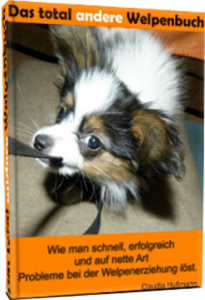 Online Hundeausbildung für Anfänger