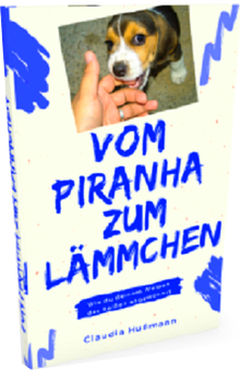 Online Hundeausbildung für Anfänger