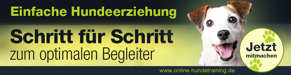 Online Hundeausbildung für Anfänger